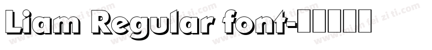 Liam Regular font字体转换